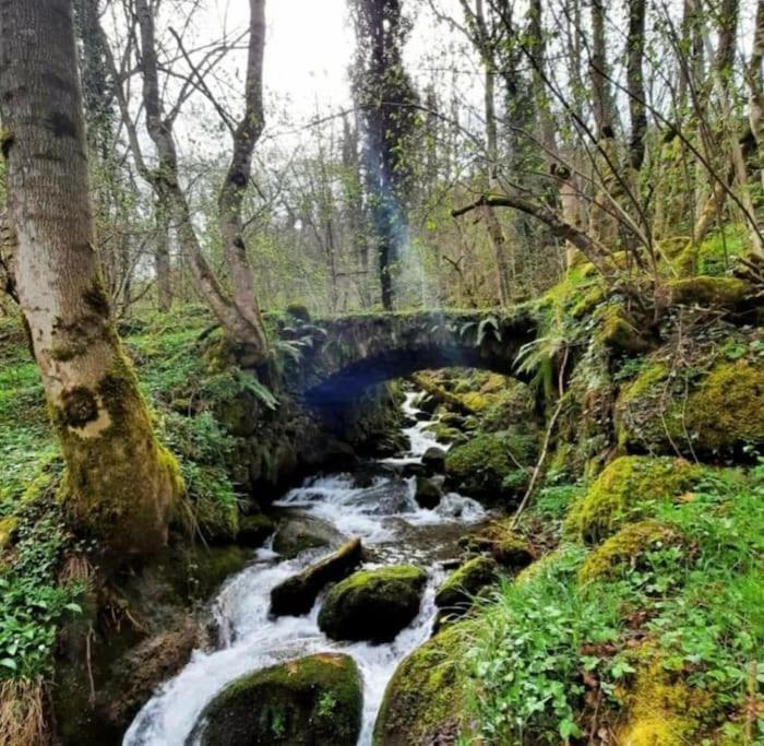 Mcastet, Casita Aranesa En El Valle De Aran Bossost Dış mekan fotoğraf