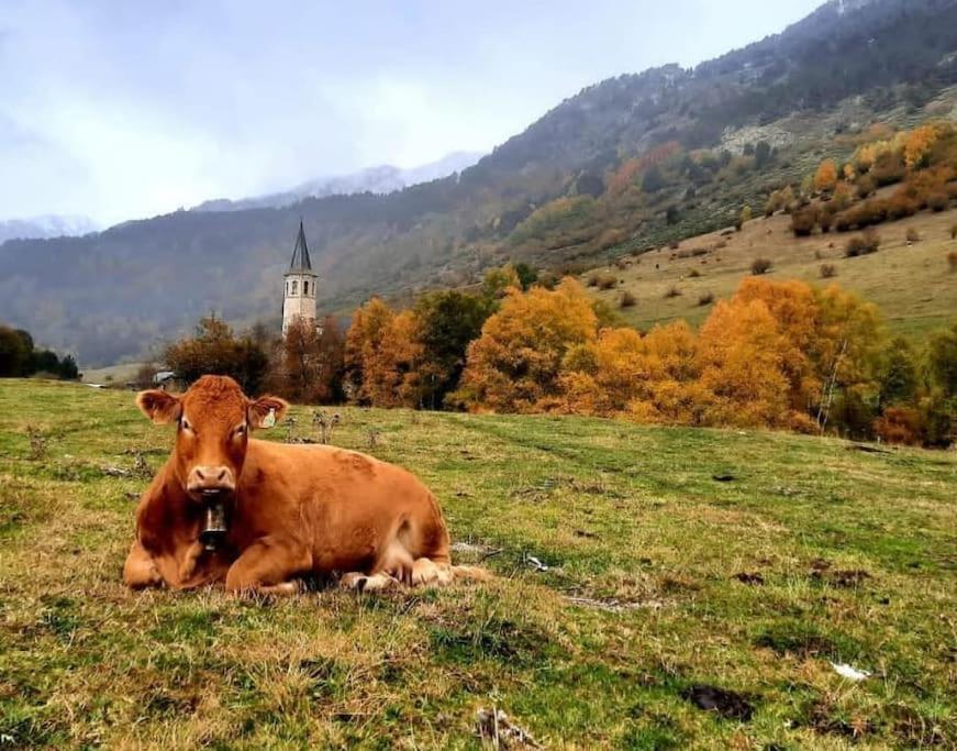 Mcastet, Casita Aranesa En El Valle De Aran Bossost Dış mekan fotoğraf